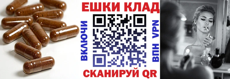 наркота  МЕГА маркетплейс  ЭКСТАЗИ 250 мг  Пудож 
