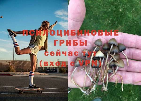 скорость Аркадак