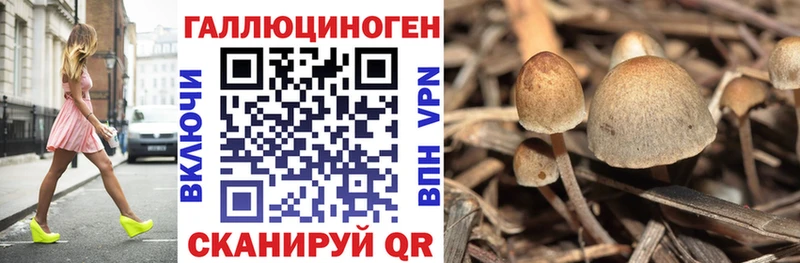 Галлюциногенные грибы ЛСД Пудож