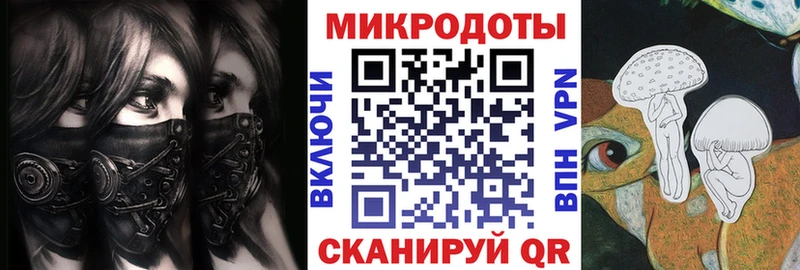 где купить наркоту  Пудож  Галлюциногенные грибы MAGIC MUSHROOMS 